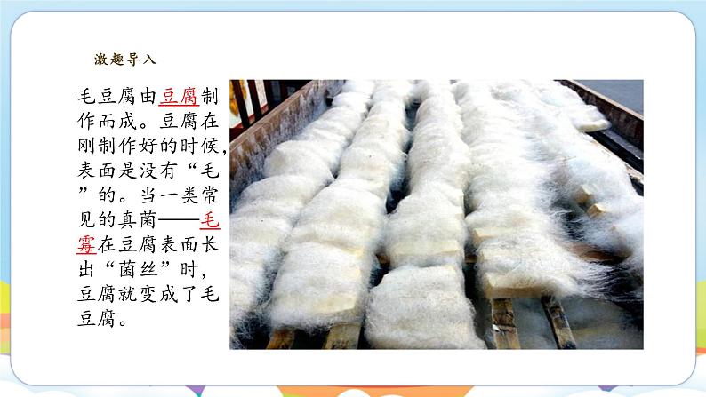 2.5.1 真菌、细菌和病毒（苏教版）第2页