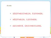 【新教材】苏教版生物七年级上册2.5.1 真菌、细菌和病毒 课件+导学案（含答案）