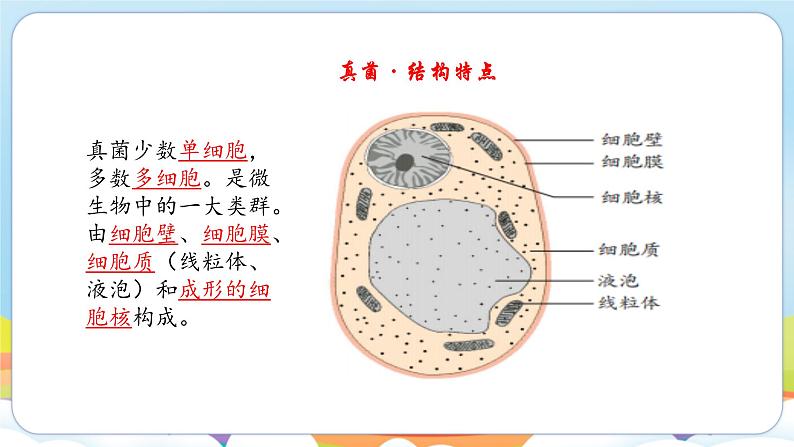 2.5.1 真菌、细菌和病毒（苏教版）第5页