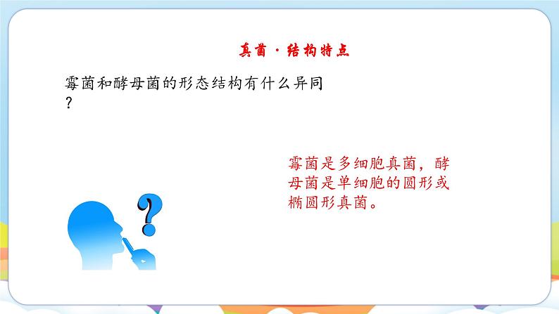 2.5.1 真菌、细菌和病毒（苏教版）第7页