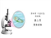 【新教材】苏教版生物七年级上册2.4.2脊椎动物 课件+导学案(含答案)