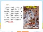 【新教材】苏教版生物七年级上册2.4.2脊椎动物 课件+导学案(含答案)