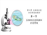 【新教材】苏教版生物七年级上册2.6.1生物的分类依据和分类等级 课件+导学案（含答案）