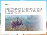 【新教材】苏教版生物七年级上册2.6.1生物的分类依据和分类等级 课件+导学案（含答案）