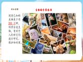 【新教材】苏教版生物七年级上册2.6.1生物的分类依据和分类等级 课件+导学案（含答案）