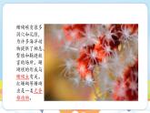 【新教材】苏教版生物七年级上册2.4.1无脊椎动物 课件+导学案（含答案）