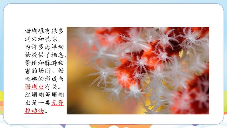 2.4.1 无脊椎动物（苏教版）第2页