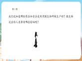 【新教材】苏教版生物七年级上册2.5.2微生物与人类的关系 课件+导学案（含答案）
