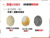 人教版生物七年级上册1.2.2《植物细胞》（课件）