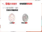 人教版生物七年级上册1.2.2《植物细胞》（课件）