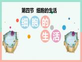 人教版生物七年级上册1.2.4《细胞的生活》课件
