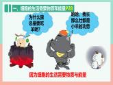 人教版生物七年级上册1.2.4《细胞的生活》课件
