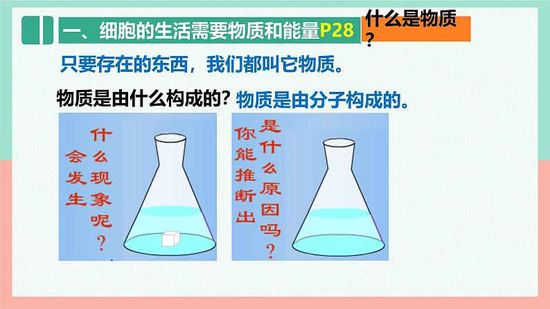 人教版生物七年级上册1.2.4《细胞的生活》课件06