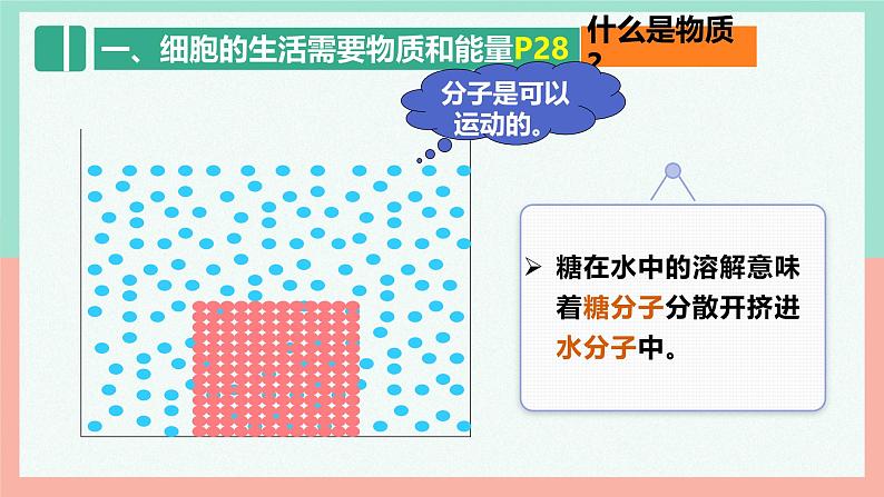 人教版生物七年级上册1.2.4《细胞的生活》课件07