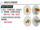 人教版生物七年级上册2.1.4《细胞的生活》教学课件