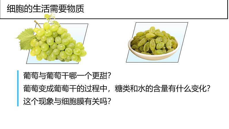 人教版生物七年级上册2.1.4《细胞的生活》教学课件08