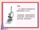 人教版（2024）生物七年级上册第二节《植物细胞》课件