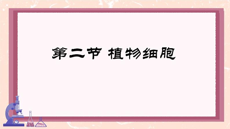 人教版（2024）生物七年级上册第二节《植物细胞》课件03