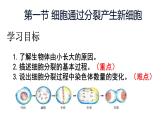人教版生物七年级上册1.3.1《细胞通过分裂产生新细胞》教学课件