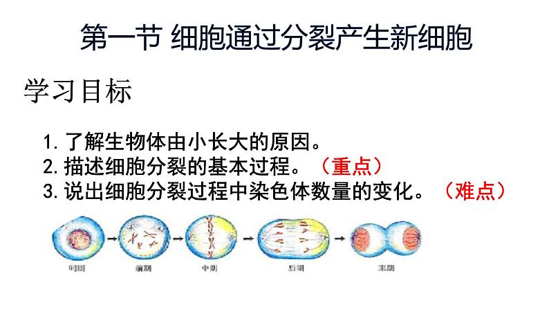 人教版生物七年级上册1.3.1《细胞通过分裂产生新细胞》教学课件第1页