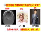 人教版生物七年级上册1.3.1《细胞通过分裂产生新细胞》教学课件
