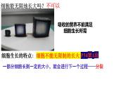 人教版生物七年级上册1.3.1《细胞通过分裂产生新细胞》教学课件
