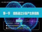 人教版生物七年级上册1.3.1《细胞通过分裂产生新细胞》课件