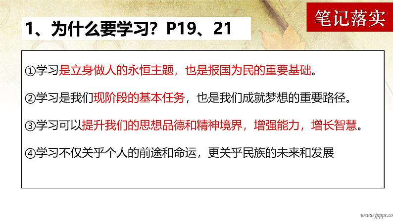 （人教版2024）七年级生物上册1.3.1《细胞通过分裂产生新细胞》教学课件07