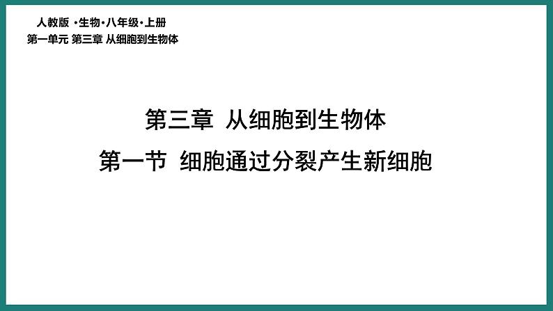 （人教版2024）七年级生物上册1.3.1《细胞通过分裂产生新细胞》课件第3页