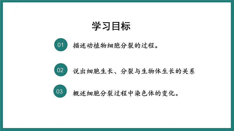 （人教版2024）七年级生物上册1.3.1《细胞通过分裂产生新细胞》课件第4页