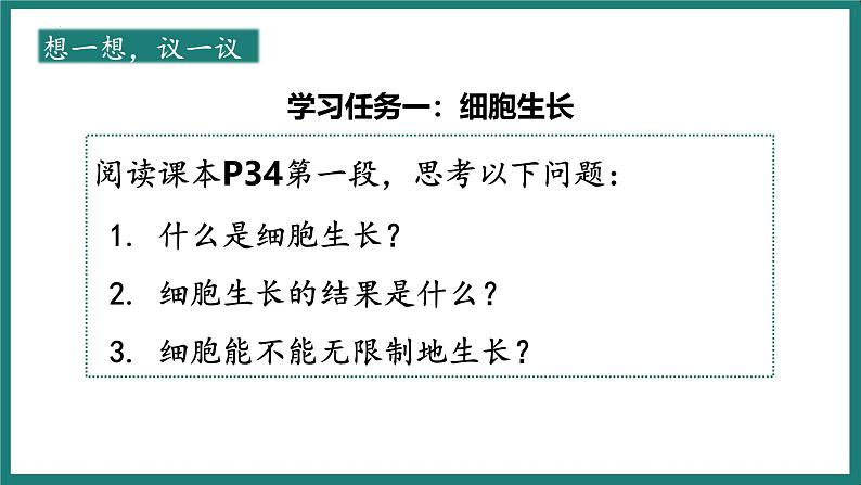 （人教版2024）七年级生物上册1.3.1《细胞通过分裂产生新细胞》课件第8页