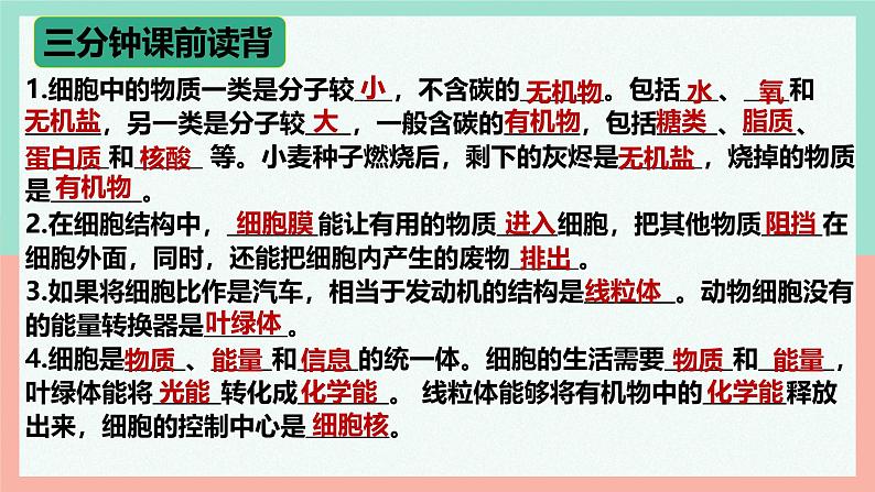 （人教版2024）七年级生物上册1.3.1《细胞通过分裂产生新细胞》（教学课件 )01