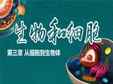 （人教版2024）七年级生物上册1.3.1《细胞通过分裂产生新细胞》（教学课件 )