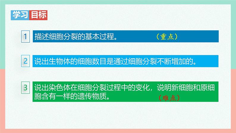 （人教版2024）七年级生物上册1.3.1《细胞通过分裂产生新细胞》（教学课件 )06