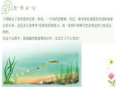 人教版（2024）生物七年级上册1.3.2《动物体的结构层次》课件
