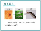 （人教版2024）七年级生物上册1.3.2《动物体的结构层次》课件