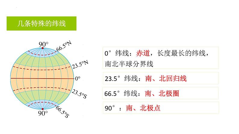 （人教版2024）七年级生物上册1.3.1《细胞通过分裂产生新细胞》（教学课件 ) (4)05