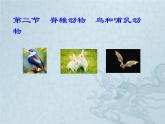 人教版生物七年级上册第二节《脊椎动物-鸟和哺乳动物》课件