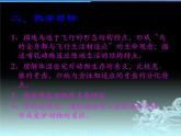 人教版生物七年级上册第二节《脊椎动物-鸟和哺乳动物》课件