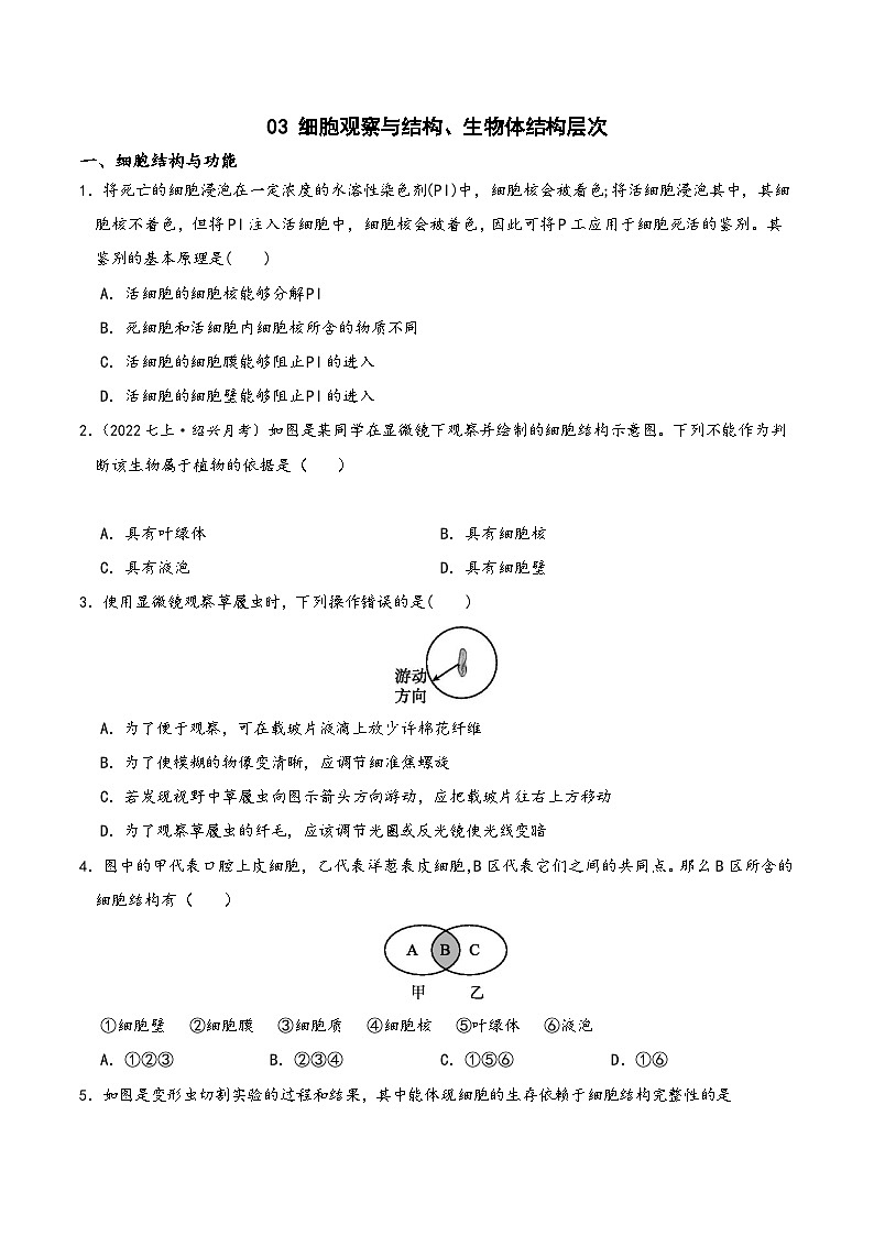 浙教版七年级科学上学期期末培优冲刺专题03细胞观察与结构、生物体结构层次专题特训(原卷版+解析)01