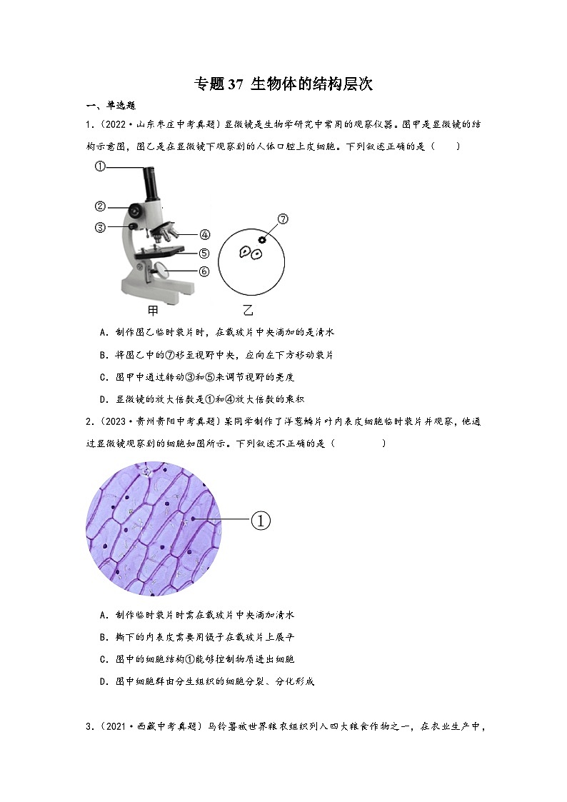 中考科学三年(2021-2023)真题分项汇编(浙江专用)专题37生物体的结构层次专题特训(原卷版+解析)第1页