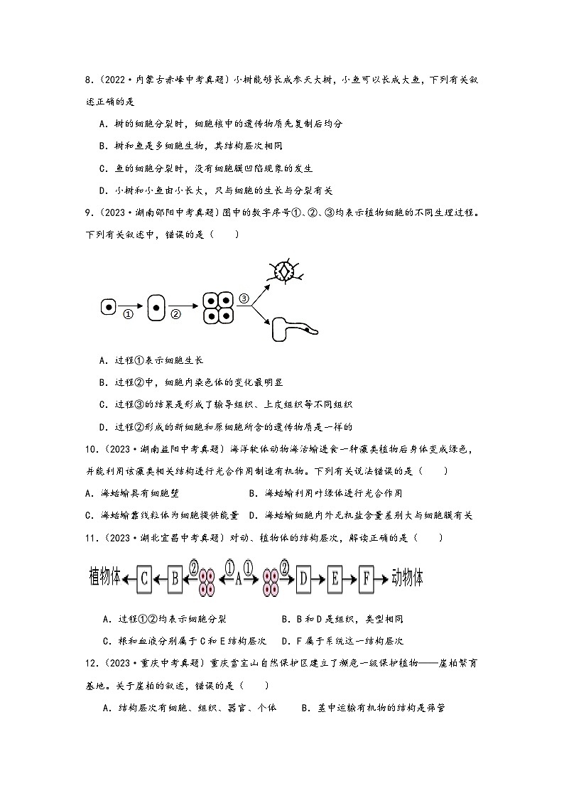 中考科学三年(2021-2023)真题分项汇编(浙江专用)专题37生物体的结构层次专题特训(原卷版+解析)第3页