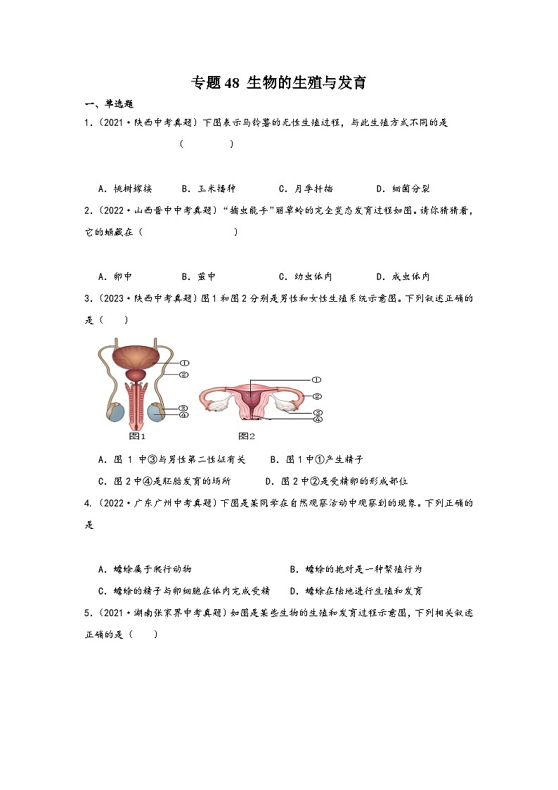 中考科学三年(2021-2023)真题分项汇编(浙江专用)专题48生物的生殖与发育专题特训(原卷版+解析)第1页