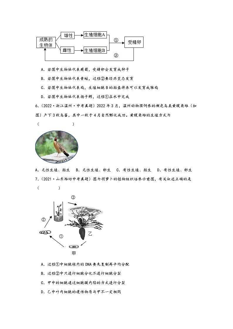 中考科学三年(2021-2023)真题分项汇编(浙江专用)专题48生物的生殖与发育专题特训(原卷版+解析)第2页