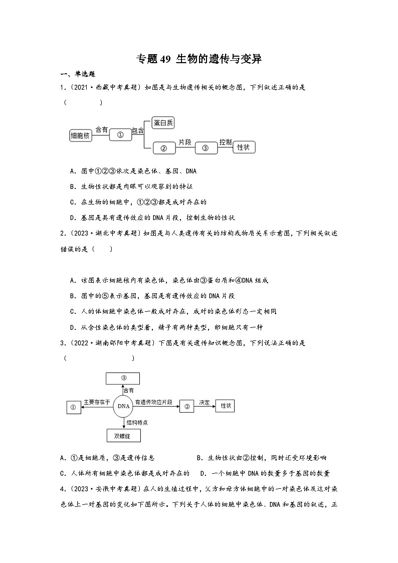 中考科学三年(2021-2023)真题分项汇编(浙江专用)专题49生物的遗传与变异专题特训(原卷版+解析)第1页