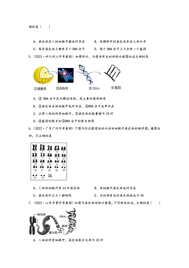 中考科学三年(2021-2023)真题分项汇编(浙江专用)专题49生物的遗传与变异专题特训(原卷版+解析)第2页