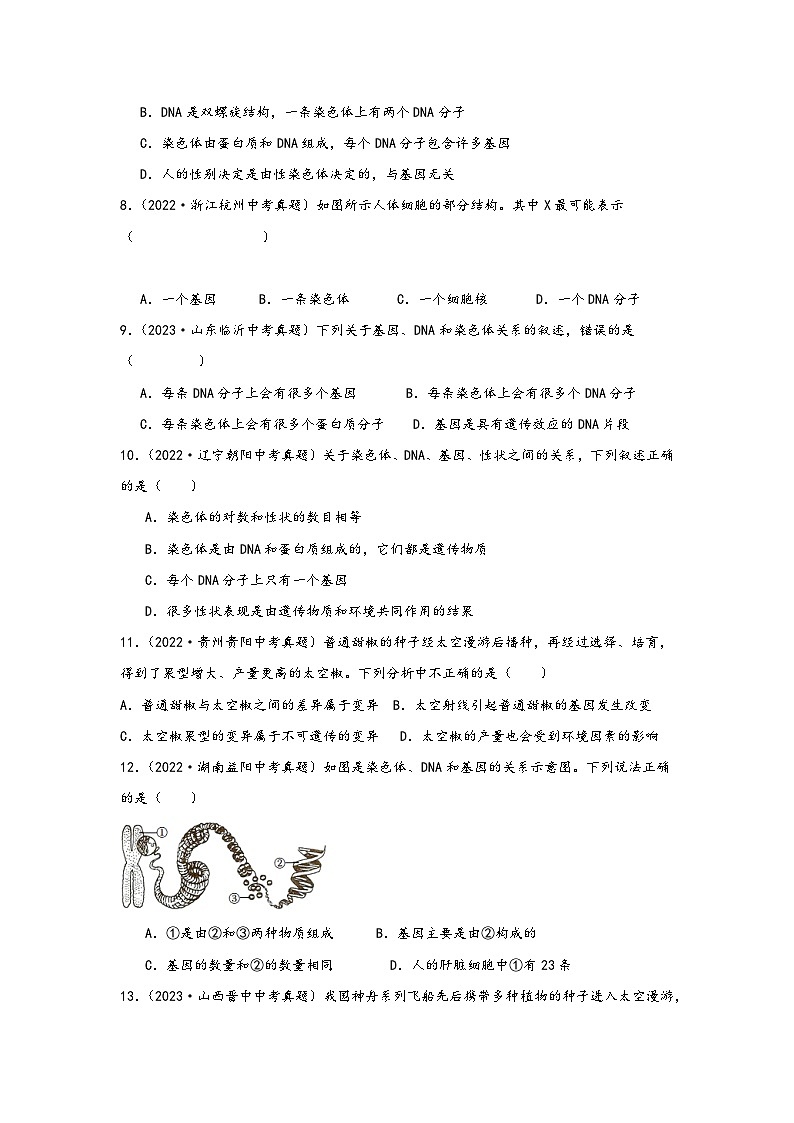 中考科学三年(2021-2023)真题分项汇编(浙江专用)专题49生物的遗传与变异专题特训(原卷版+解析)第3页