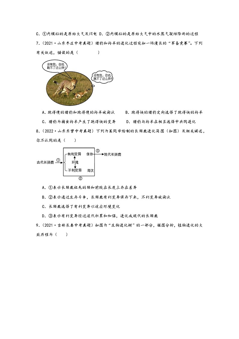 中考科学三年(2021-2023)真题分项汇编(浙江专用)专题50生物的进化专题特训(原卷版+解析)第3页