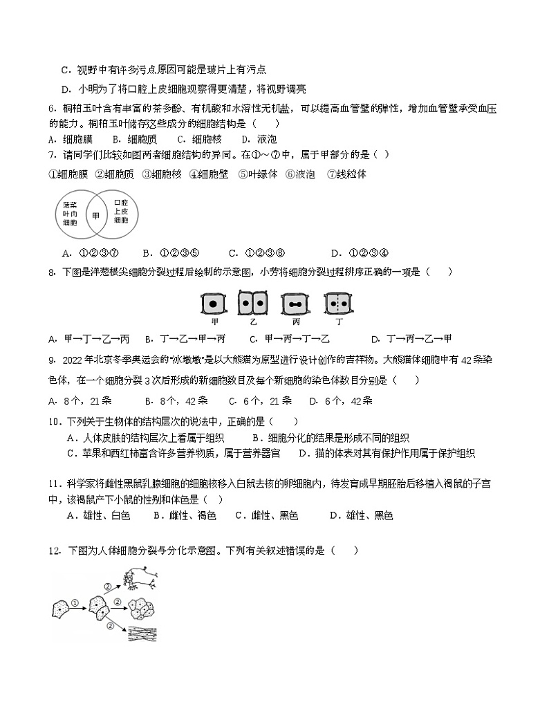 湖北省天门市华斯达学校2024-2025学年七年级上学期九月考试生物试题第2页