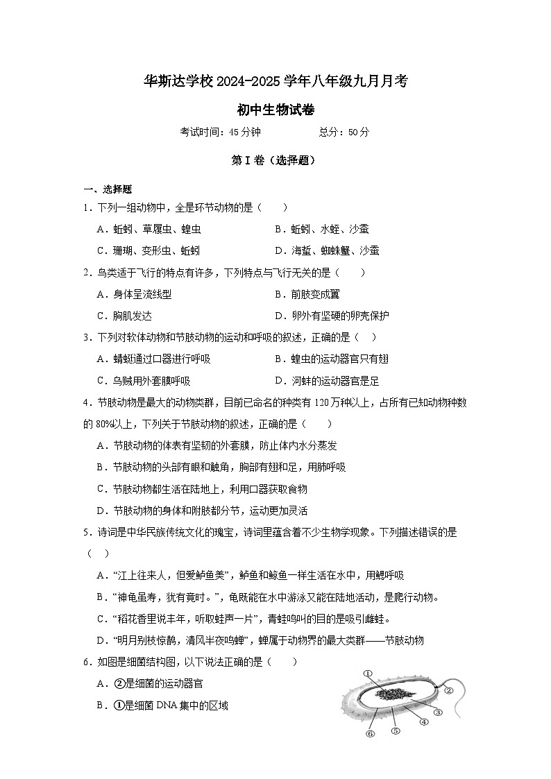 湖北省天门市华斯达学校2024-2025学年八年级上学期九月考试生物试题01